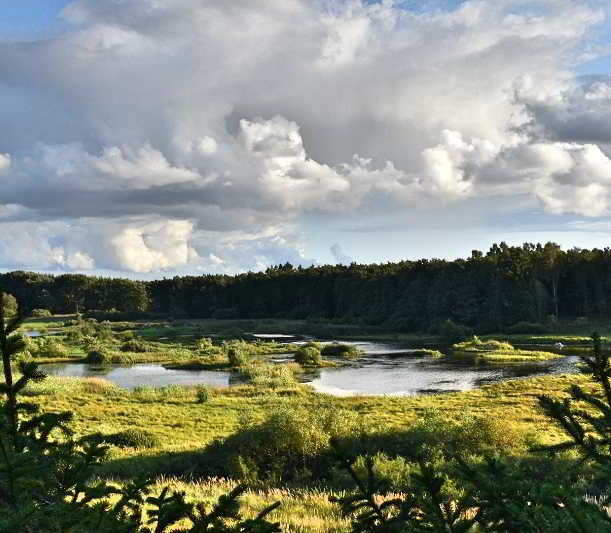 Heidelandschaften auf Bornholm