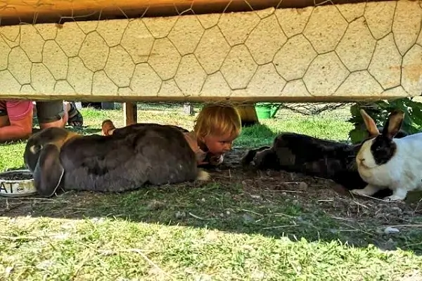 Lykkelund Gedemejeri og Besøgsgård auf Bornholm