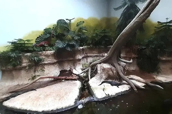 NaturBornholm Bornholm