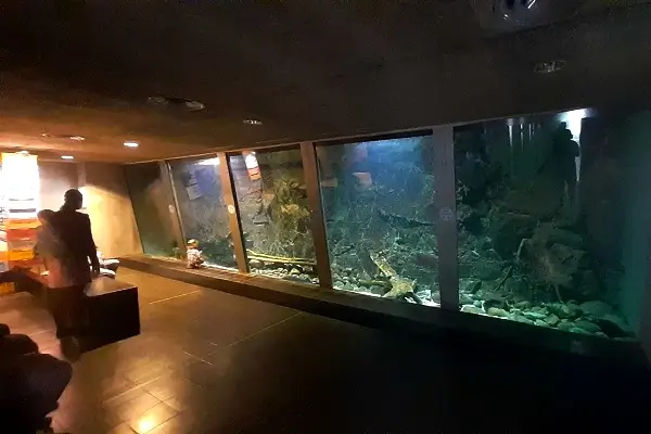 NaturBornholm auf Bornholm