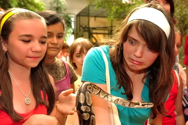 Bornholms Rovfugleshow auf Bornholm