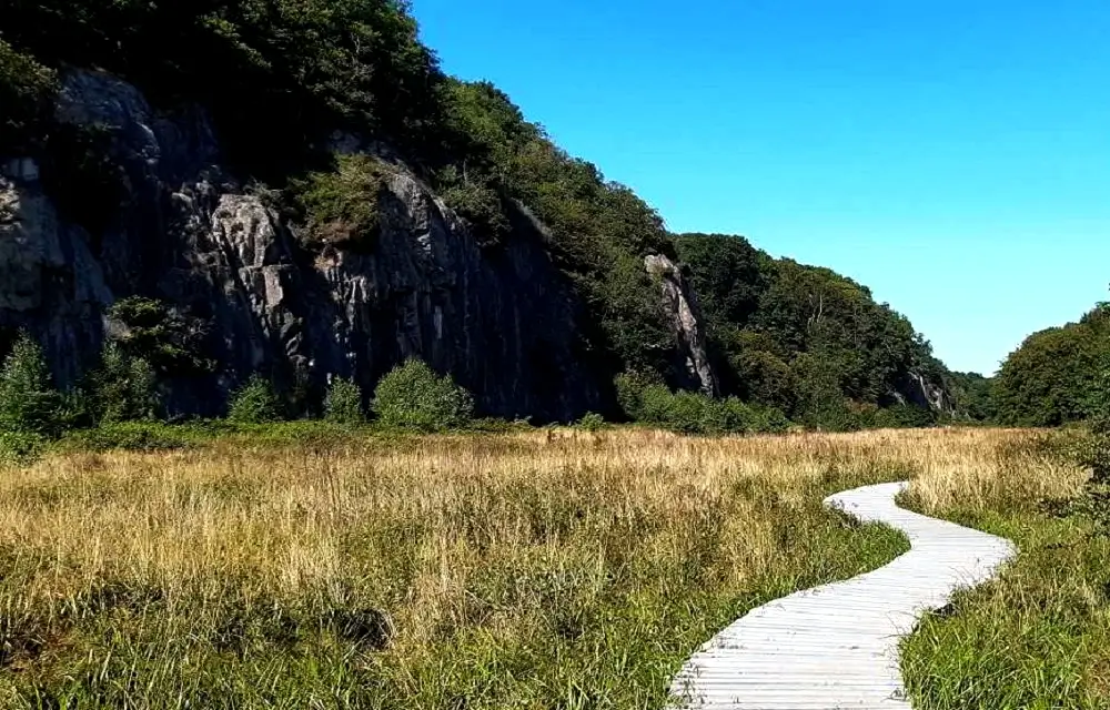 Ekkødalen-Tal auf Bornholm
