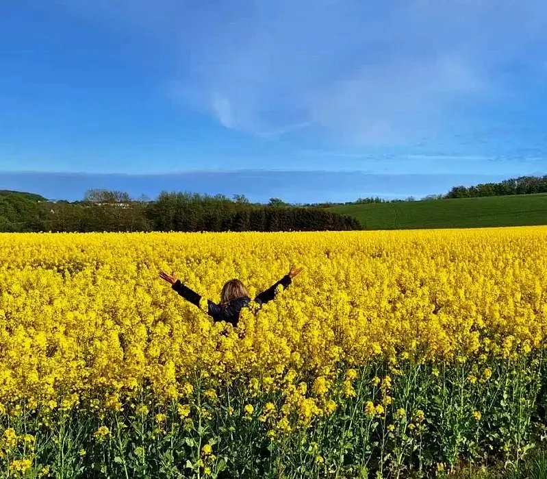 Bornholm im Frühling